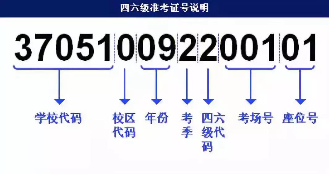 新澳门开奖资料查询结果,最新解答方案