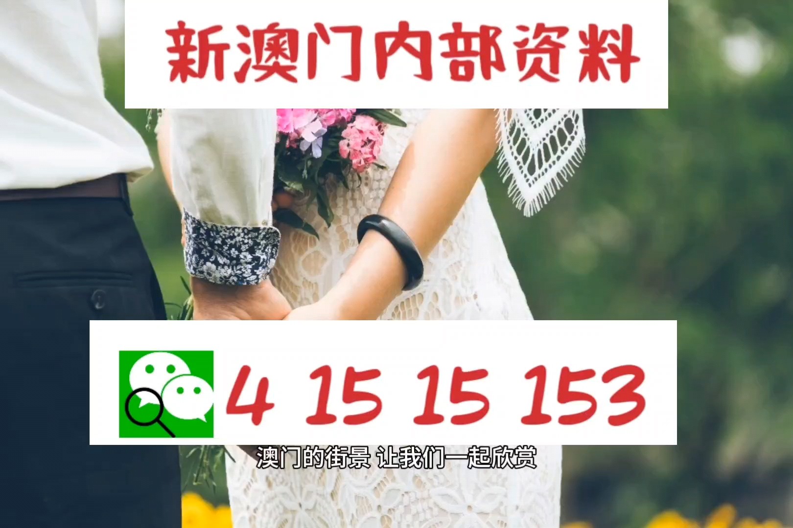 2025今晚澳门开什么码040期28-41-9-12-31-21T：9