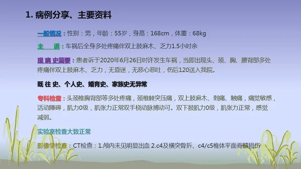 今晚必出三肖,全面计划解析_经典版85.128