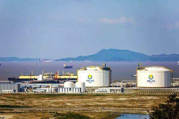 2025新奥最精准免费大全,动态说明解析_完整版68.168