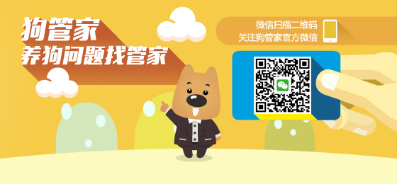 7777788888管家婆狗,精细化策略落实探讨_AR版26.242