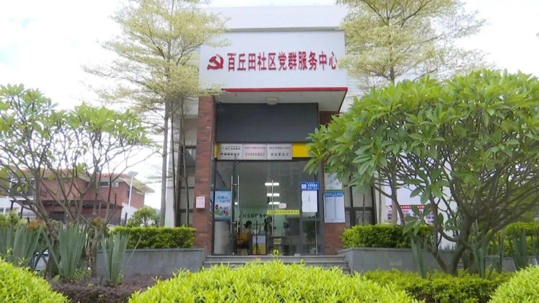 惠东县人力资源和社会保障局领导团队最新成员及其未来展望