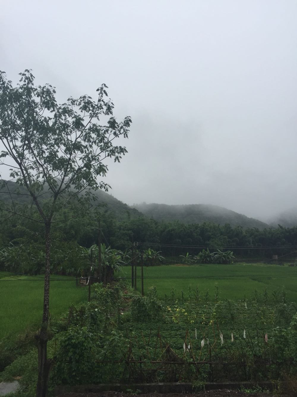 帮纳村最新天气预报更新通知