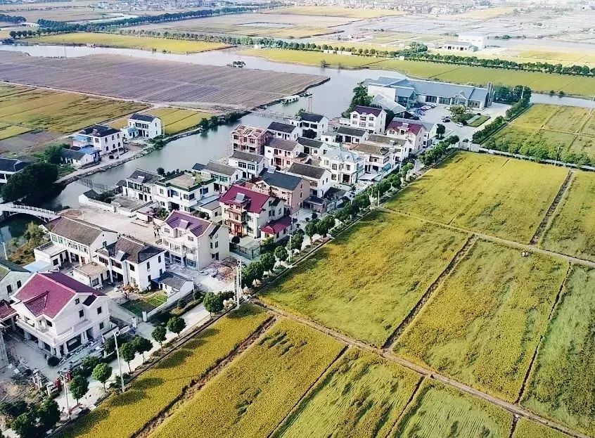 马桥乡最新项目，乡村振兴的新引擎驱动力