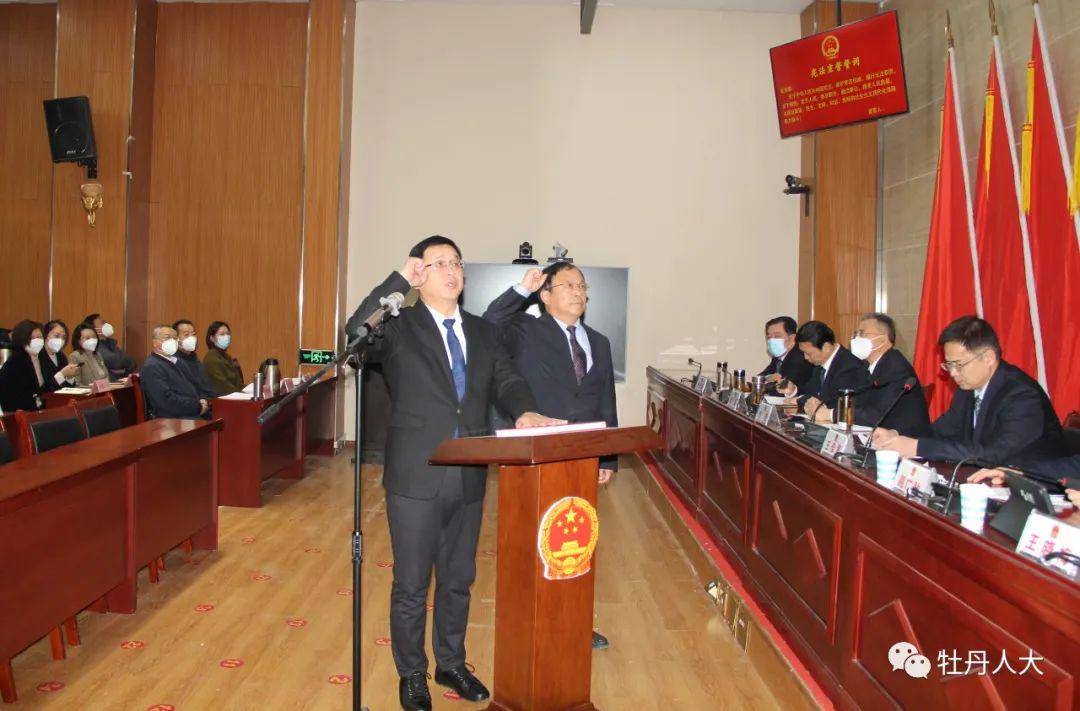 轮台县数据和政务服务局人事任命最新动态解析
