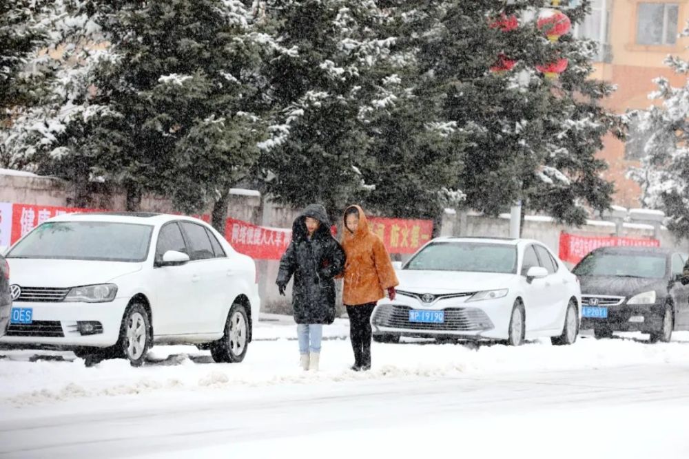 超雪最新黑解的深度探讨与全面解析