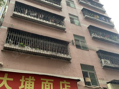 横村最新房价动态及趋势分析
