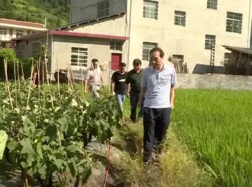 白毛坪乡最新项目，引领乡村发展的强大动力源泉