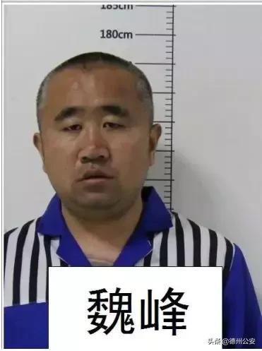 晏城街道最新新闻速递
