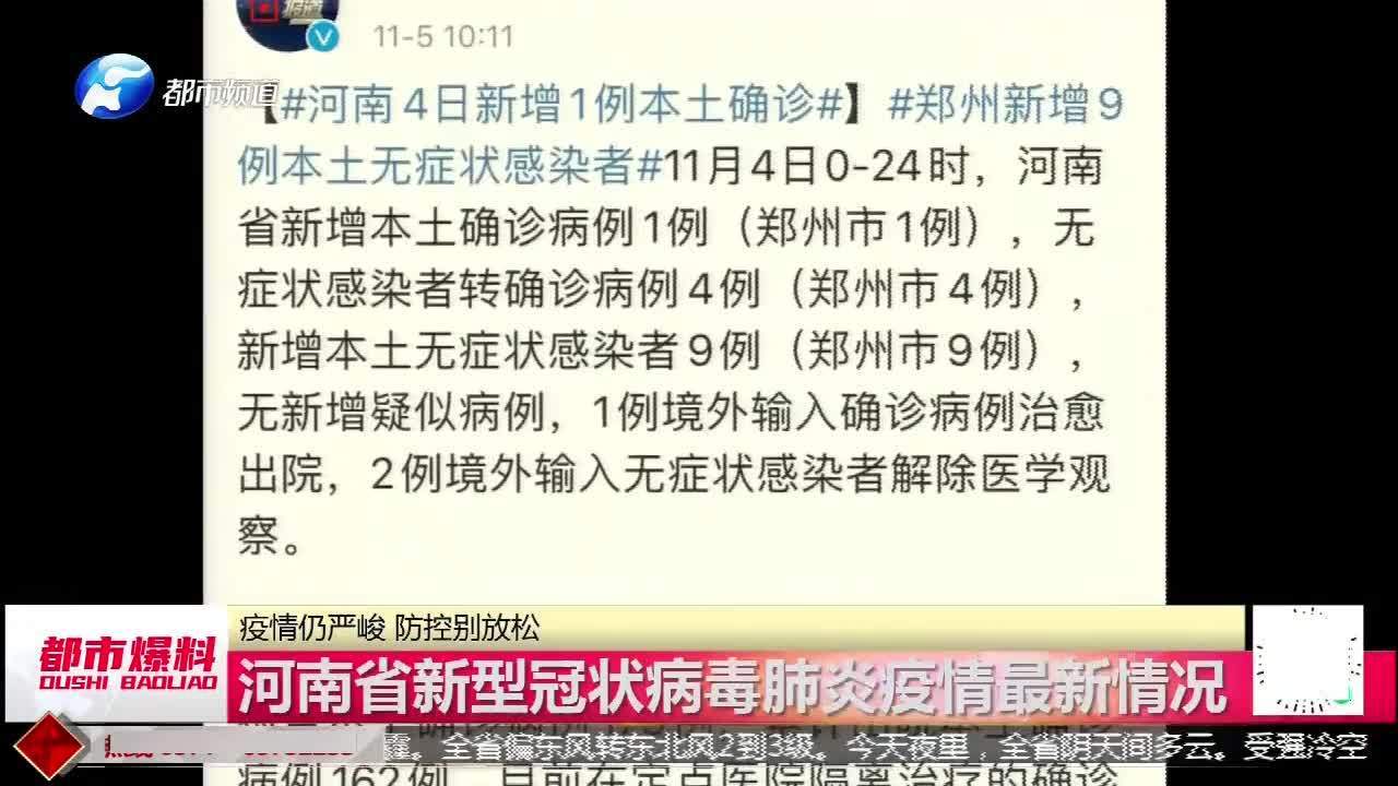 河南疫情最新动态，新增病例情况分析与新增数据统计