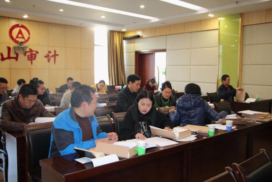昌宁县审计局最新项目深度解析及启示