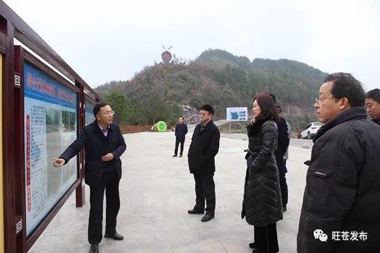 旺苍县最新新闻速递，当地最新报道更新
