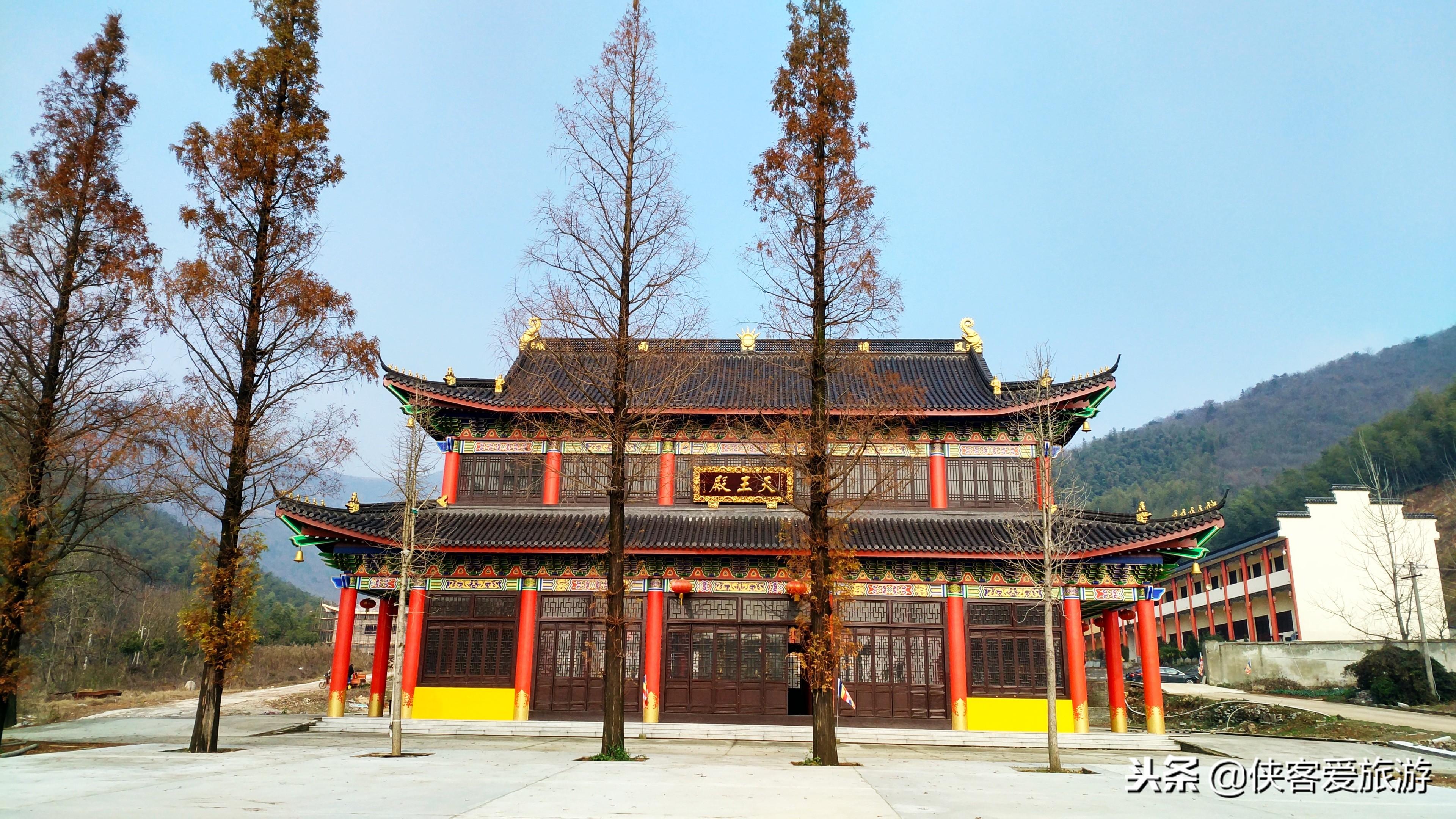芙蓉茶场最新战略规划揭秘，未来发展蓝图