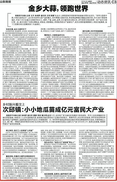 汶上最新动态，城市发展与民生改善迈入新篇章