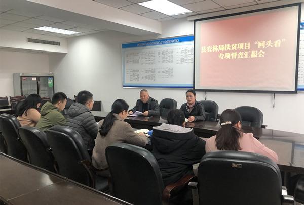 官仓镇最新项目，引领地方发展的强大动力源泉