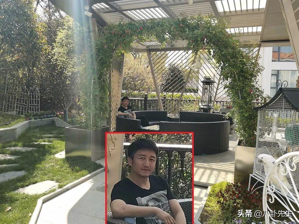 上海今日疫情最新动态，新增病例及其影响概述