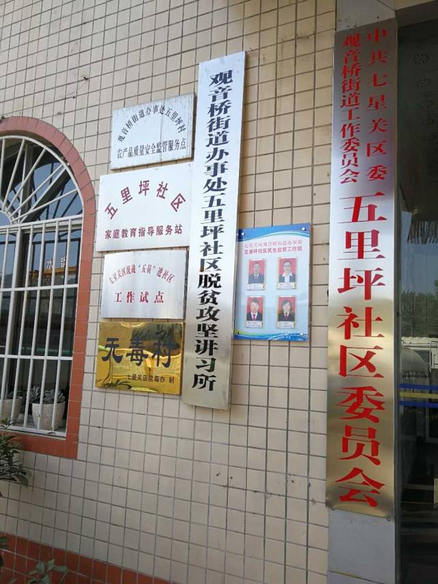 五星坪社区居委会最新发展规划揭秘，打造美好未来社区