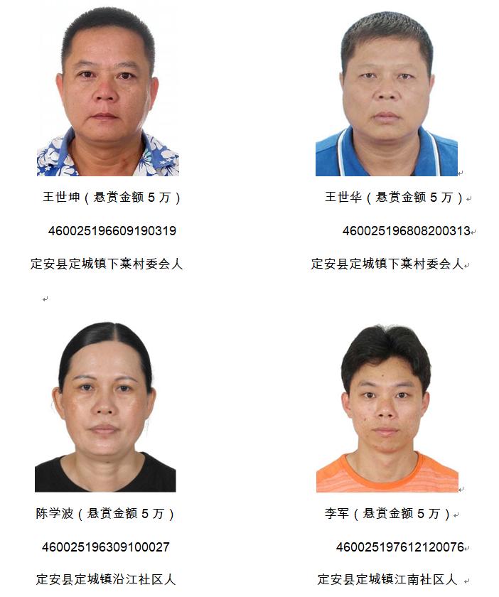 崖州区最新新闻报道概览