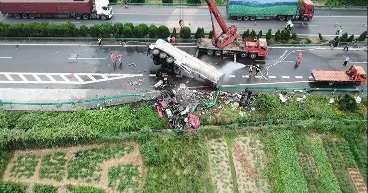 科技、社会与环境的最新交汇点，人类最新消息概览