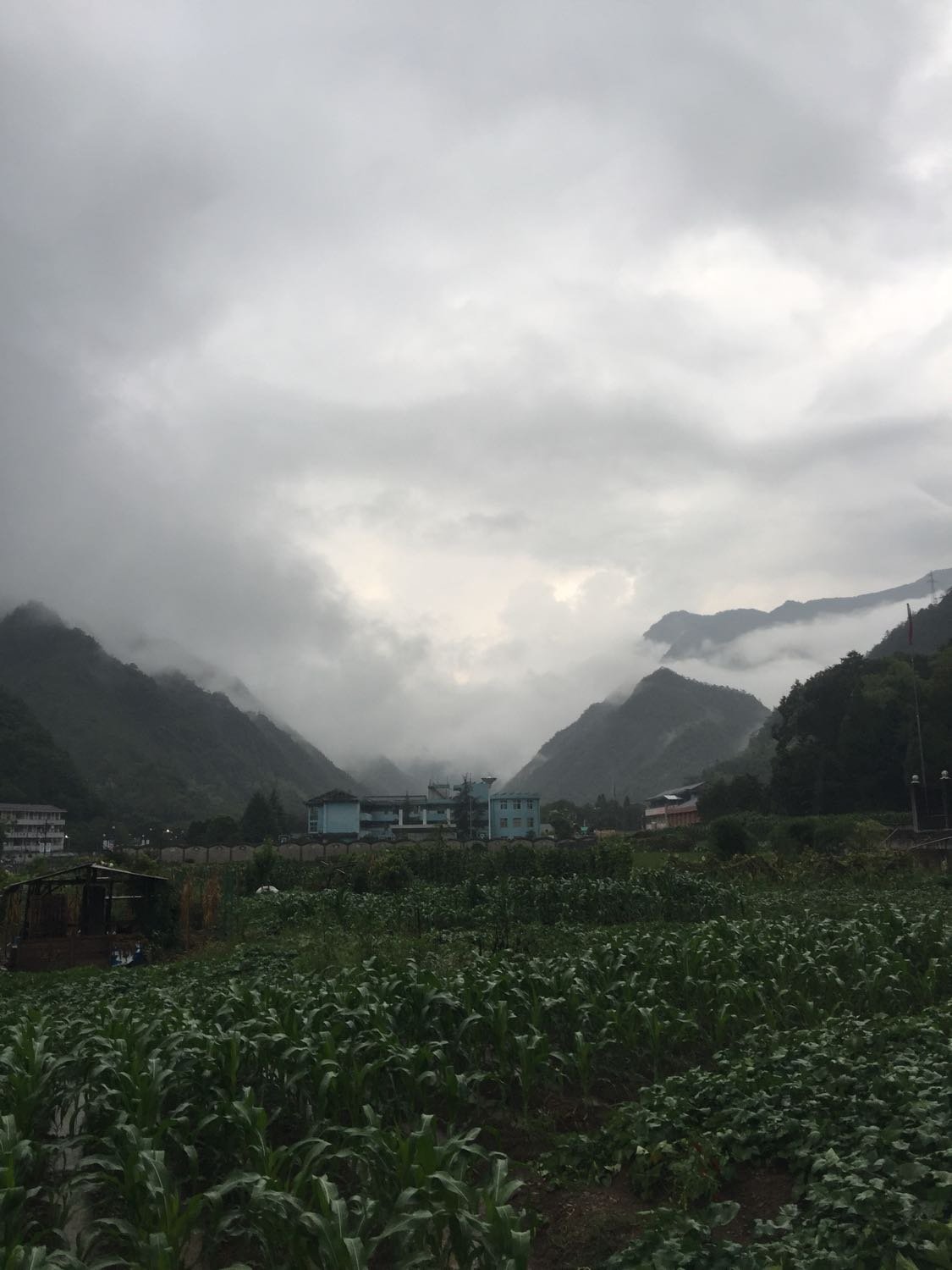 碧松村最新天气预报更新通知