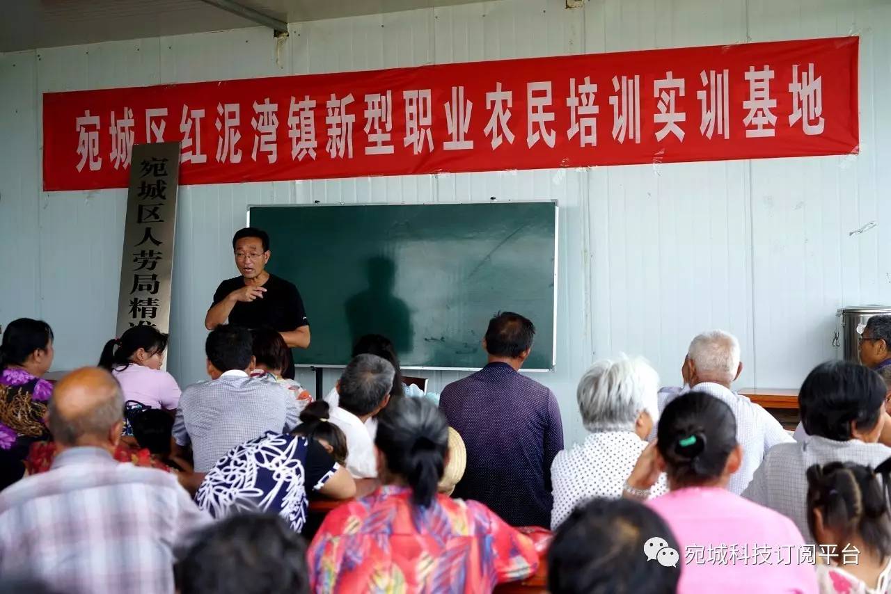 红泥湾镇最新招聘信息全面解析