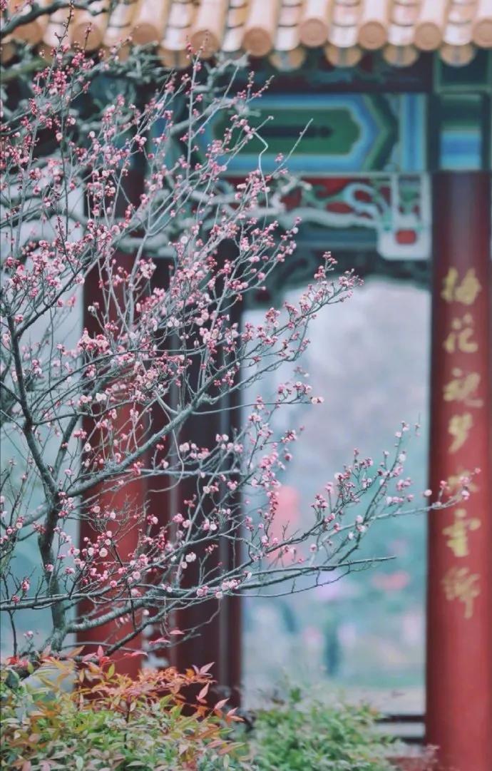 春起，生机勃发的序曲最新章节