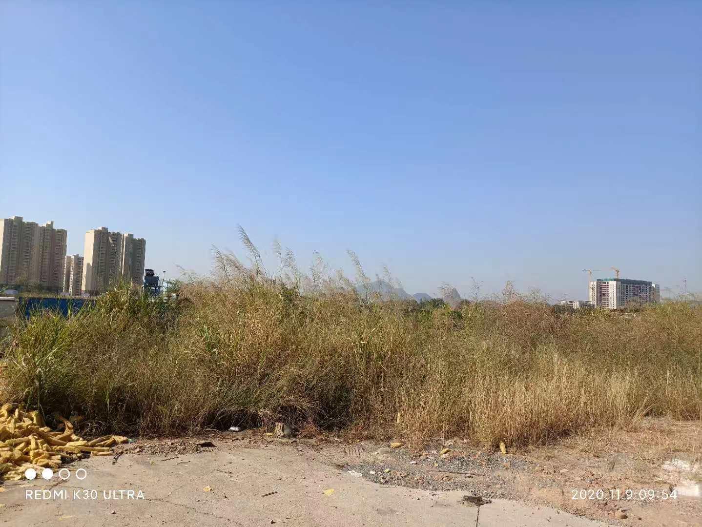 土拍最新地王，重塑行业格局的驱动力