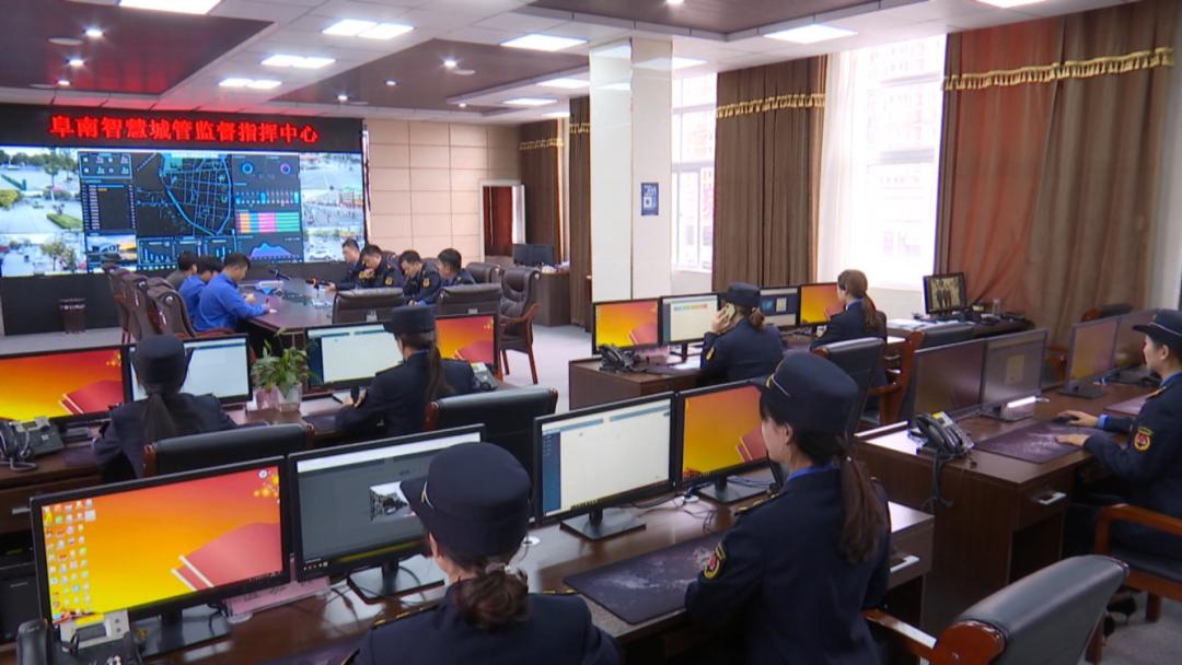 阜南最新市场，繁荣新经济脉搏的见证