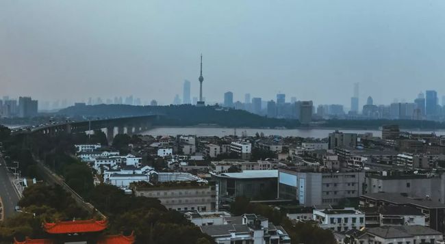 武汉最新动态，城市脉搏与青年力量的交汇