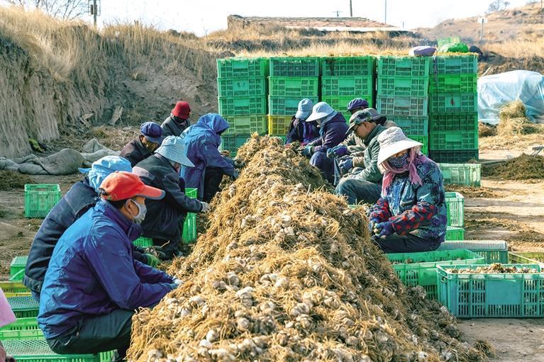 上花岔乡最新新闻动态报道