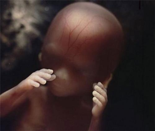 男性生育健康奥秘探索，精子窝最新永久视频分享