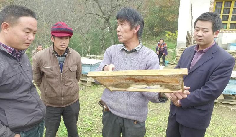 商南县卫生健康局最新项目推动健康县城全面发展进程