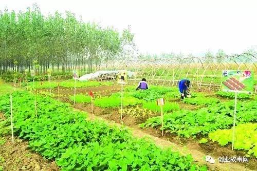 锦州市果树农场交通新闻，便捷升级，未来之路畅通无阻