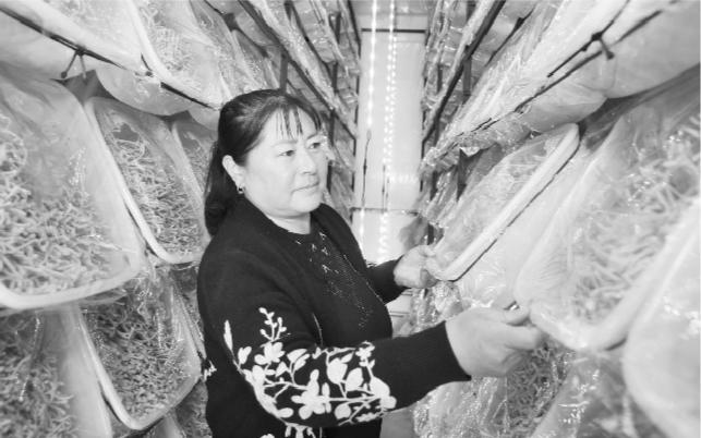喀喇沁左翼蒙古族自治县成人教育事业单位的最新动态与成就报道更新速递