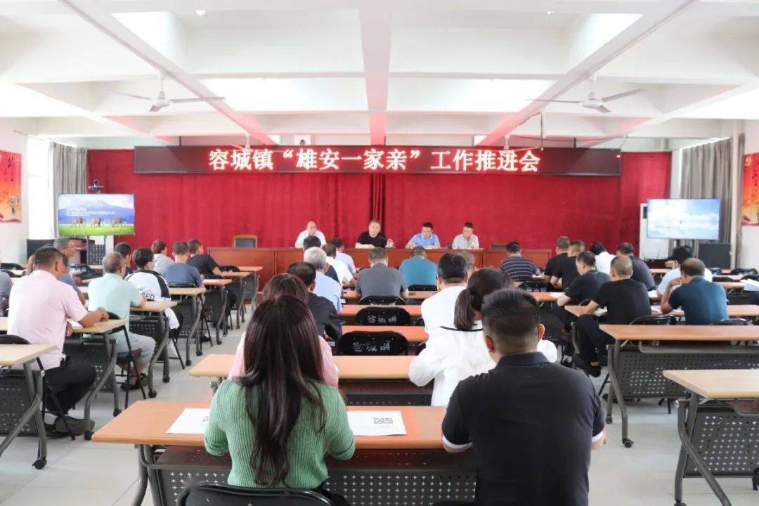 容城镇最新招聘信息概览，岗位概览与申请指南