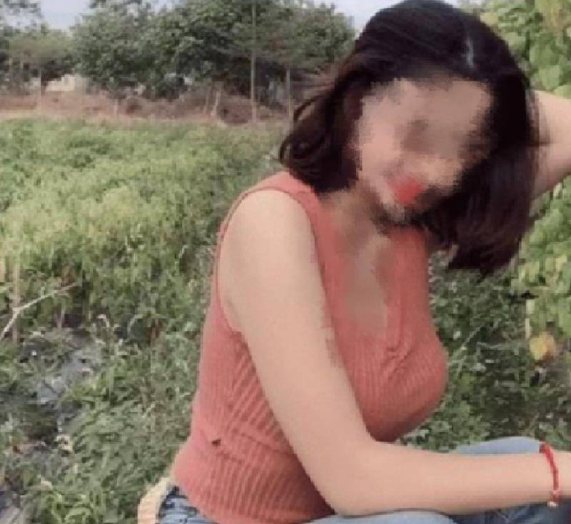 乡村乱情最新篇章，真实与虚构的交织探索