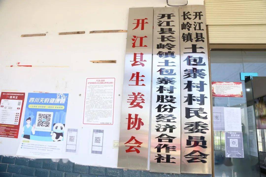 2025年3月11日 第31页
