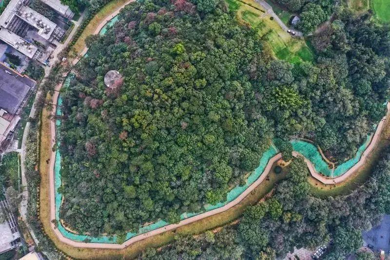 广州疫情最新动态分析与地区状况更新