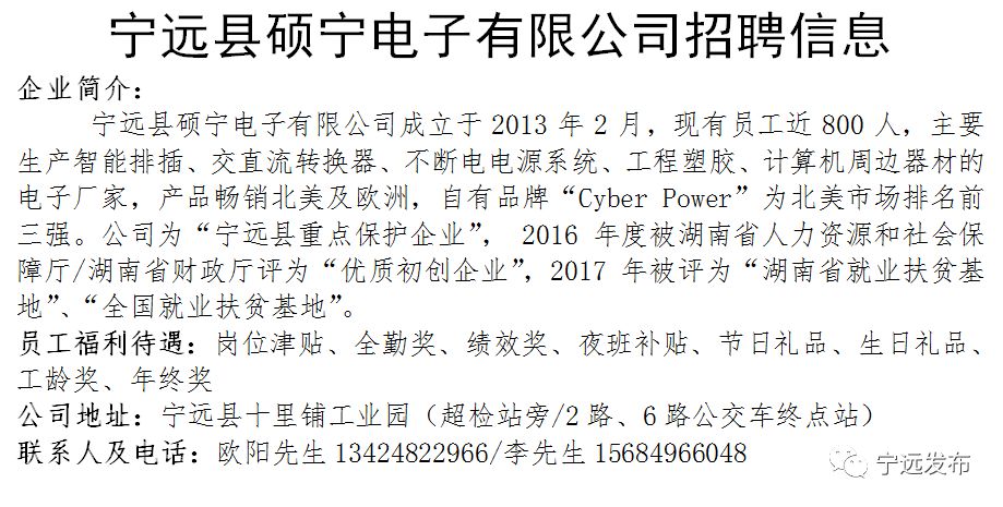 抚宁县体育局最新招聘信息概览，岗位、要求及待遇一览表