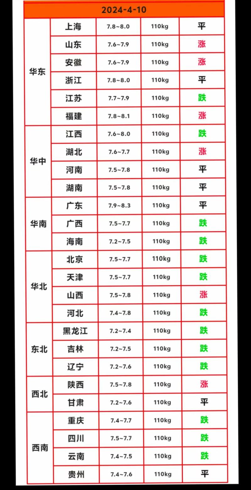 今日猪价动态更新，市场走势分析与预测