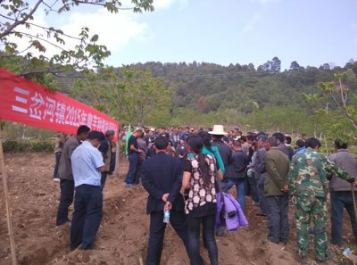 三岔河林场最新项目，绿色发展的探索与实践之旅