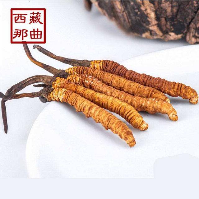2025年虫草最新价格概览