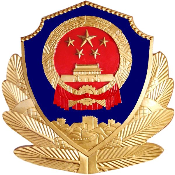 江城区公安局推动现代化警务项目，提升城市安全水平