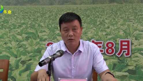 乐业乡最新新闻动态报道速递