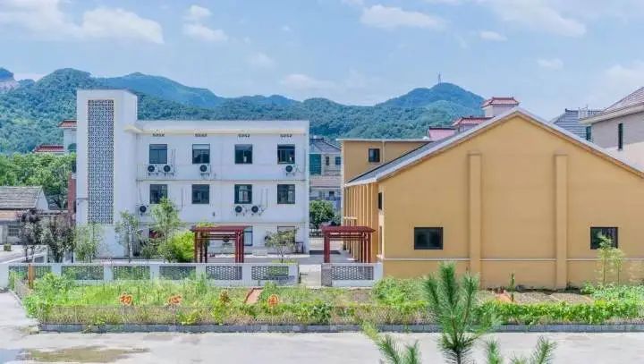 计划村最新项目，乡村振兴的新动力源泉