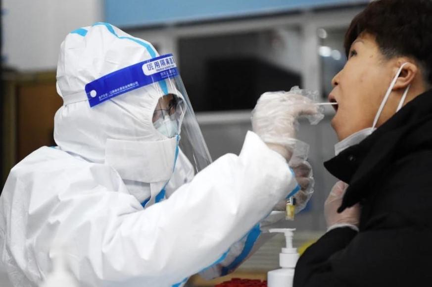浮山县统计局最新招聘信息概览，岗位、要求与概况一网打尽