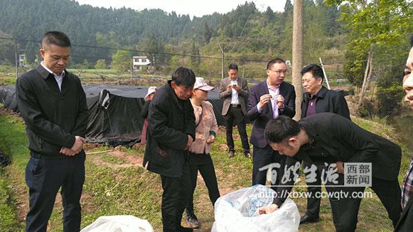 官会镇最新新闻速递，最新动态一网打尽