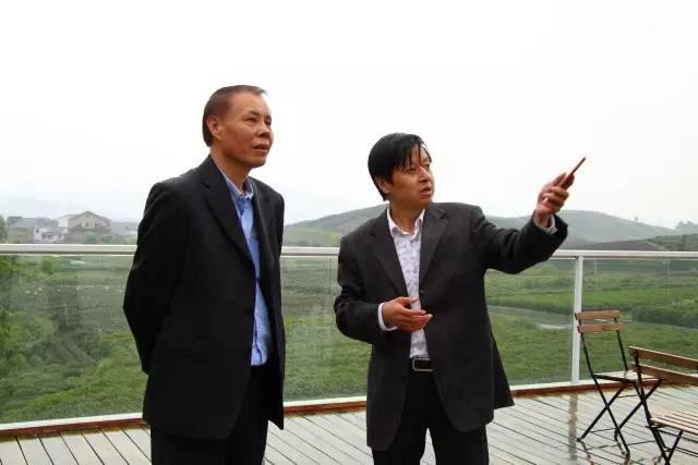何家村新任领导引领村庄迈向新篇章