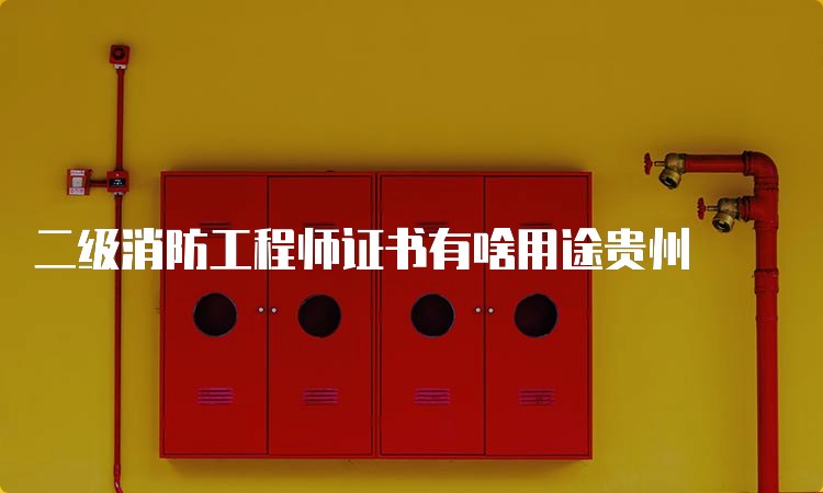 科三玄学最新解析与探讨，深入探讨科目三的玄学与技巧
